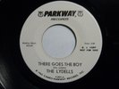 Lydells - There Goes The Boy  M-  1964   PROMO  VERY RARE