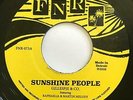 GILLESPIE & CO Sunshine People FUNK NIGHT RECORDS 45 FUNK