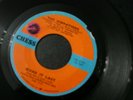 THE VIBRATIONS MAKE IT LAST 45 RECORD SHAKE IT UP VG++