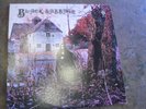 Black Sabath Vintage Vinyl Record 1970