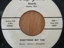 Piney Brown - Everything But You - Running - DeepGroove23932 mp3