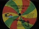 MARY ANN Electronic Dub Music KAREN C 12