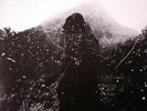 SNTS - The Rustling Of The Leaves - Vinyl (2xLP + sticker)