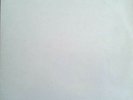 The Beatles LP 69 - WHITE ALBUM (DoLP) - Apple 3C 162 - 04173/174 - ITA 1976 VG+