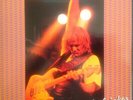 Walter Trout Band No More Fish Jokes NEAR MINT Provogue Vinyl LP