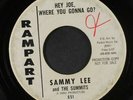 SAMMY LEE & SUMMITS: Hey Joe, Where You Gonna Go / Walkin' 45 (dj, wol) Soul