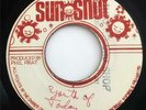 HORACE ANDY Youths of Today SUNSHOT 45 VERY RARE REGGAE HEAR