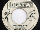 THE FUGITIVES Cantelope Rock / The Lecture FUGITIVE 45 RARE REGGAE ROCKSTEADY