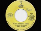 Jimmie Jimmy Delphs - Do You Know What I Mean / (inst.) (Soul, 45) 1-70
