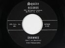 Rock & Roll Inst. 45 - Premiers - Shawnee/Orbit Bound - Squire - VG+ mp3 - rare