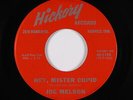 Teen 45 - Joe Melson - Hey, Mr. Cupid - Hickory - mp3