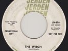 The Sonics - The Witch / Like No Other Man - Jerden 810  garage 45