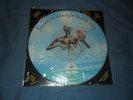 IRON MAIDEN 12 INCH PICTURE DISC SEVENTH SON OF A SEVENTH SON - WITH BANNER.