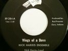 Rare INDIANA Private Press Black Gospel Group Soul STAFF 45 NICK HARRIS ENSEMBLE