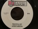 Rare Funk 45 - Spider Harrison - Beautiful Day - Lulu 9703 - NM