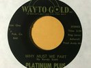 funk soul 45 PLATINUM PLUS Why Must We Part  WAY TO GOLD listen