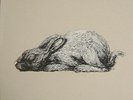 Roa year of rabbit time to exit lp vinyl record graffiti banksy warhol ROA roa