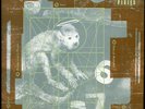 Pixies Doolittle reissue 180gm vinyl LP  NEW/SEALED