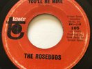NORTHERN SOUL The Rosebuds SAY YOU'LL BE MINE Tower 45 rare