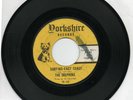 The Dolphins  Surfing East Coast  On Yorkshire    Original  45