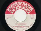 '58 Philly R&B/DooWop LEE ANDREWS/HEARTS Try the Impossible CASINO VG+ HEAR