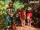 Creedence Clearwater Revival Green River