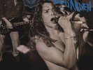 Soundgarden - Screaming Life / FOPP Black Vinyl LP Album Seattle Grunge Record