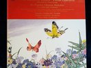 Butterfly Lovers Violin Cto / 6 Chinese melodies Nishizaki Shek HK 6.240103 NM-