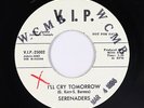60s Soul Motown 45 - Serenaders - I'll Cry Tomorrow - V.I.P. - VG+ mp3