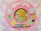 Rare '70 Garage Psych Promo 45 Hackamore Brick Searchin' Velvet Underground HEAR