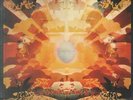LP Hapshash And The Coloured Coat Featuring The Human Host And The Heavy Metal