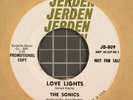 The Sonics Love Lights / You Got Your Head on Backwards 45 rpm WLP Jerden JD-809