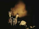Pearl Jam - Riot Act - Double LP Vinyl  SEALED NEW