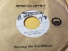 THE PARAGONS - HAVE YOU EVER BEEN IN LOVE/REGGAE 45