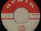 ARWIN 111 Jan & Arnie Orig RARE PROMO Surf 45 Mint Minus Gas Money