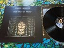 CHRIS SQUIRE  FISH OUT OF WATER Atlantic 75 A2 B2 UK 1st press plus rare poster