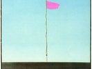 Pink Flag by WIRE [VINYL]
