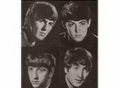 BEATLES-Live In Melbourne, Festival Hall June 17Th 1964 - Tv Broadca VINYL NUEVO