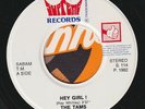 The TAMS * This Precious Moment * 7T's Modern SOUL Northern 45 * Listen