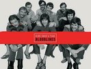 Blood, Sweat & Tears - Bloodlines (Limited Numbered Edition 4x LP Boxset)