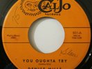 DENISE MILLS & SATINETTES: Meet Me In The Moonlight / You Oughta Try 45-DOO-WOP