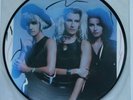 BANANARAMA More Than Physical - RARE Picture Disc 7
