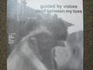 Guided By Voices ORIGINAL 2/15/87 Devil Between My Toes LP RARE Vinyl DAYTON