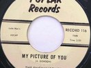 THE ENCHANTONES My Picture Of You 45 Poplar 116 1962 Doo-Wop EX