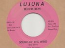 NORTHERN  SOUL -- OTIS BROWN -- SOUND OF THE WIND / FIND SOMEBODY NEW