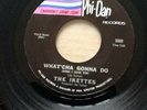 The Ikettes Whatcha gonna do US Phi -Dan issue 1966