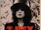 T.Rex 