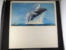 Humpback Whale ?– Songs Of The Humpback Whale (CRM Records ?– SWR 11)