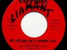 THE TENTH DYMENTIONS-The Bushman-Rare Chicago Funk Soul 45-SAPPHIRE #1030
