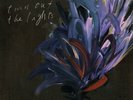 Julien Baker TURN OUT THE LIGHTS 2nd Album NEW SEALED VINYL RECORD LP